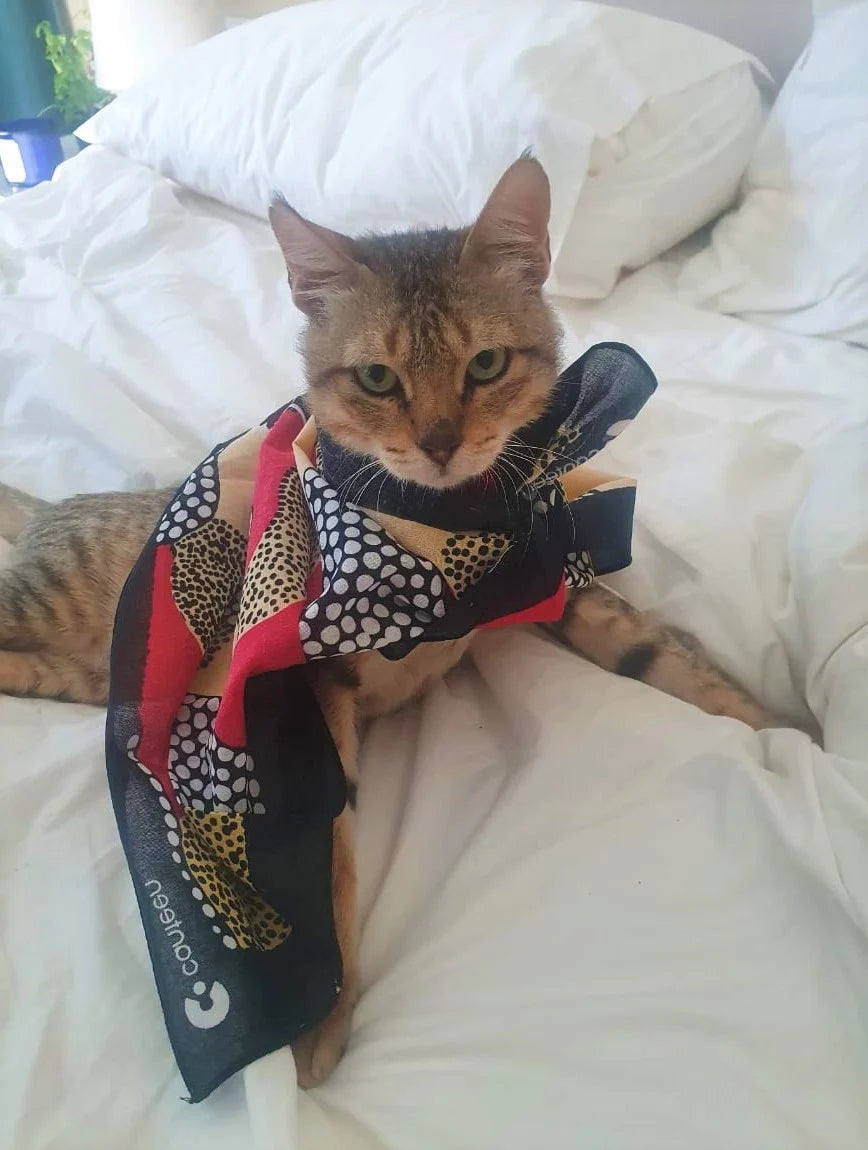 Snowy Mountains Goanna Bandanna