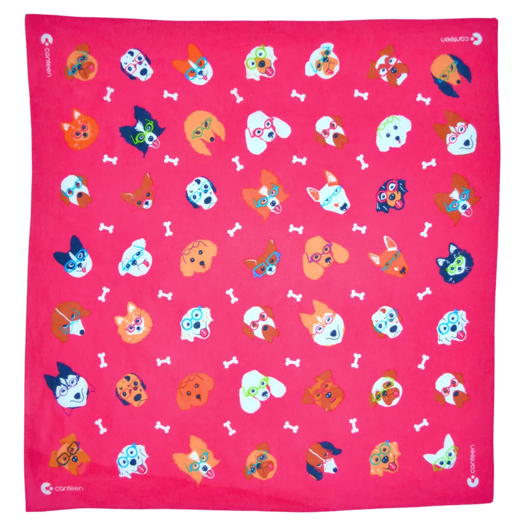Stylish Dogs – Magenta Bandanna