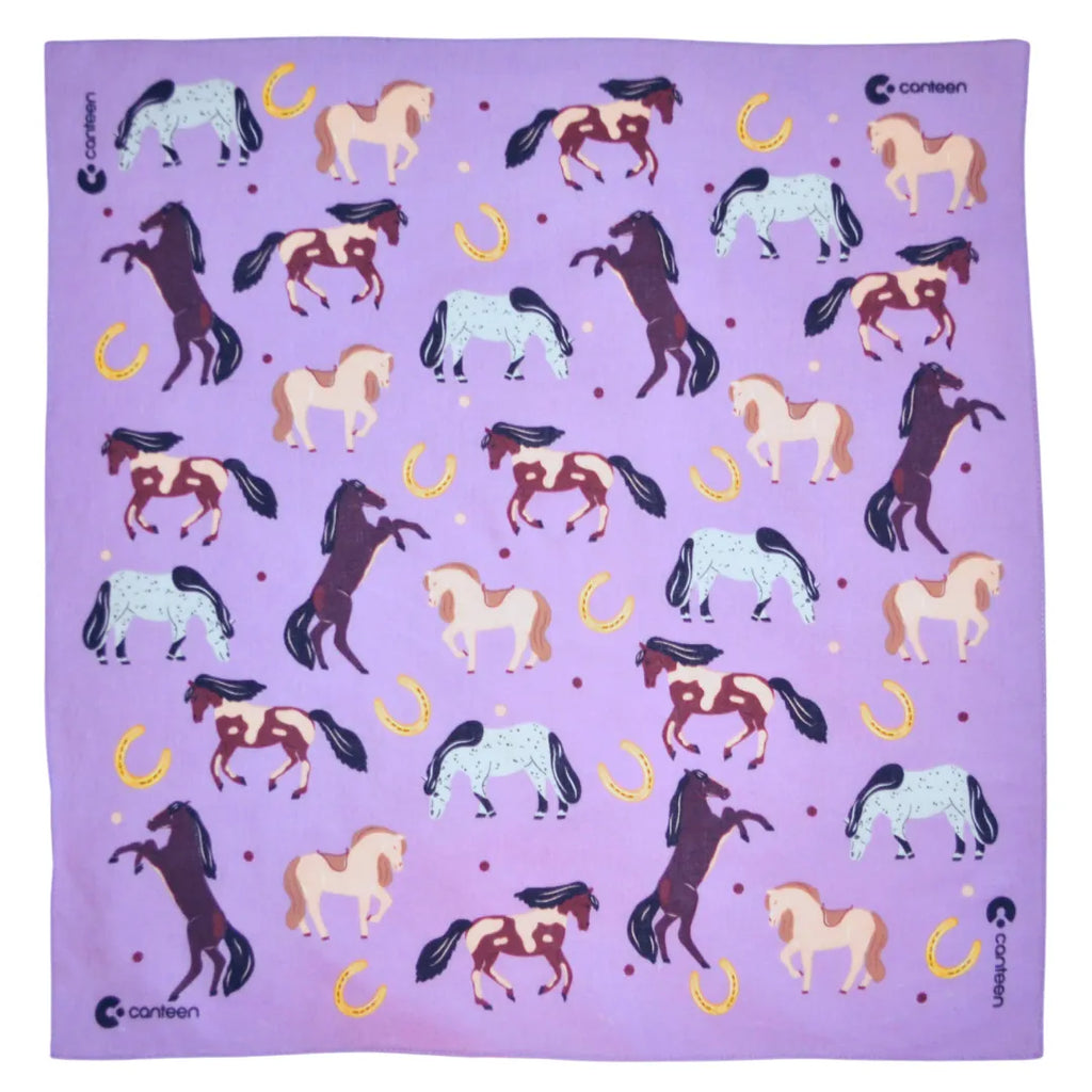Horses Tinkt Bandanna