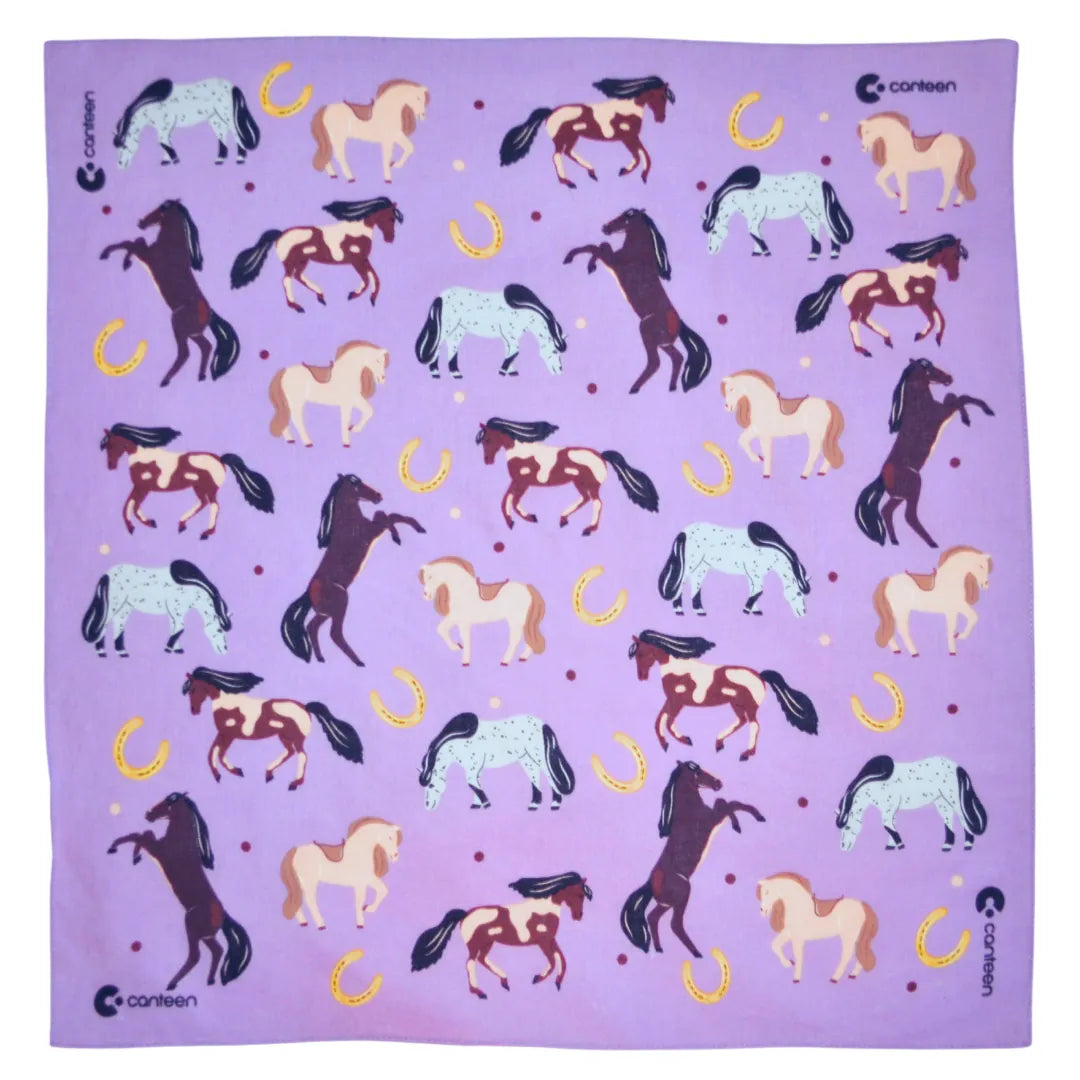 Horses Tinkt Bandanna