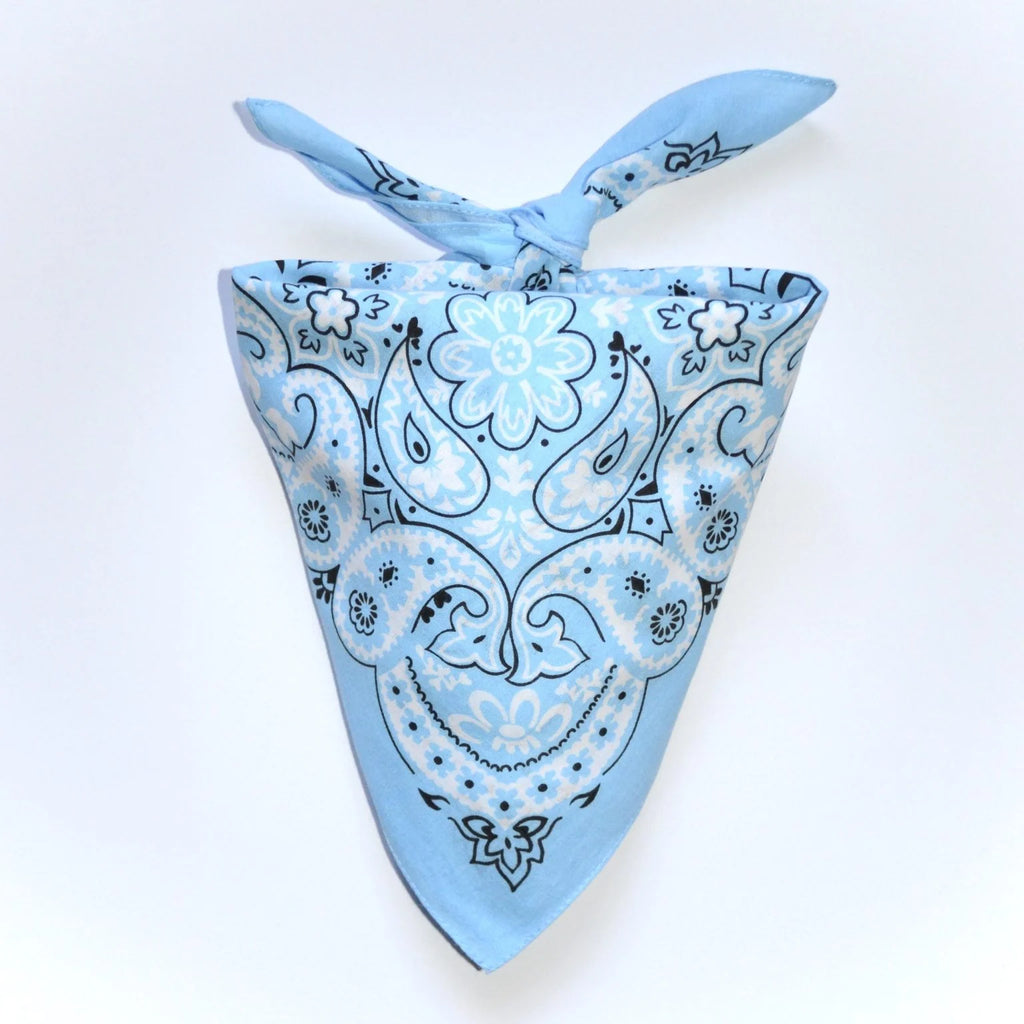 Mexican Design Bandanna – Sky Blue