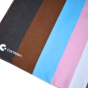Progress Pride Bandanna