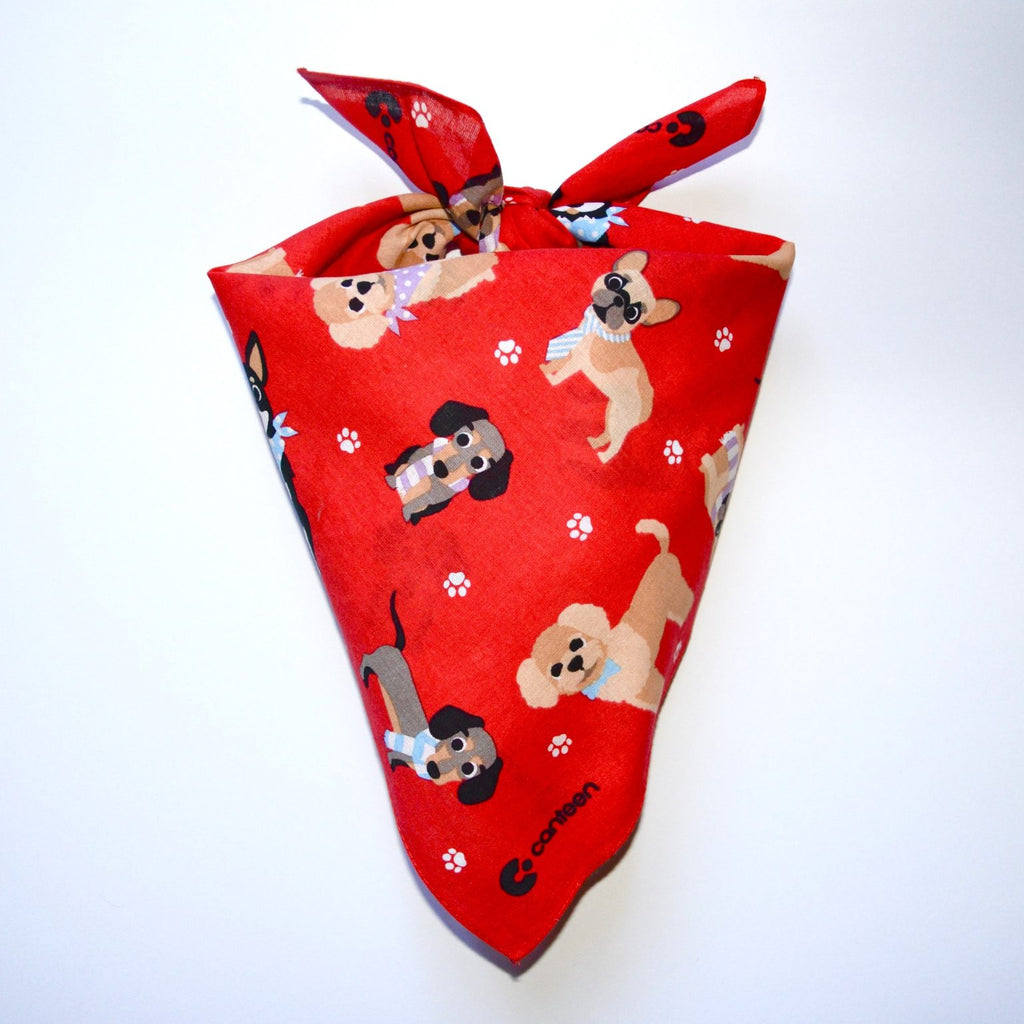 Puppy Pals Bandanna