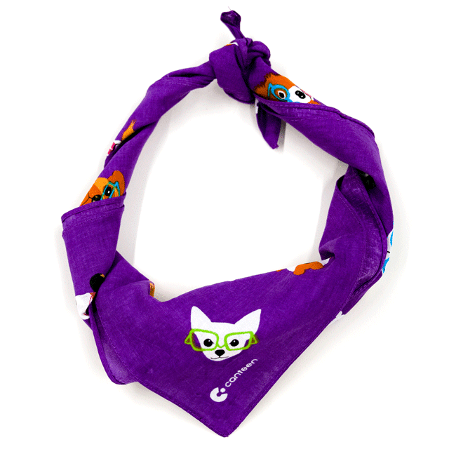 Stylish Dogs – Purple Bandanna