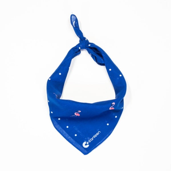 canteen flamingo bandanna