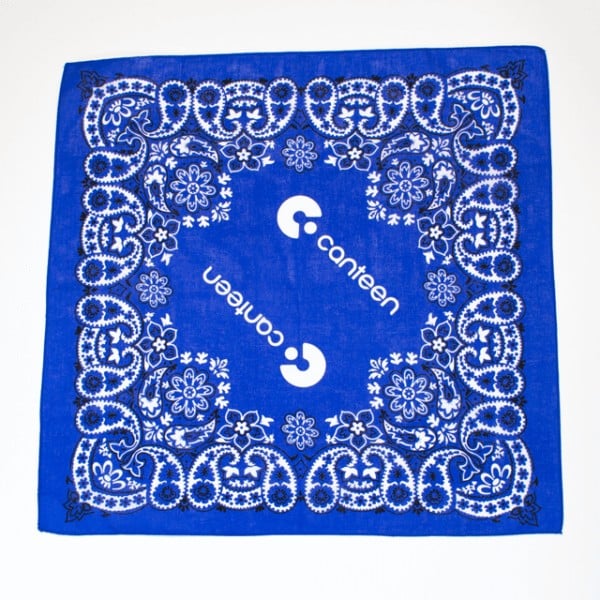 blue bandanna