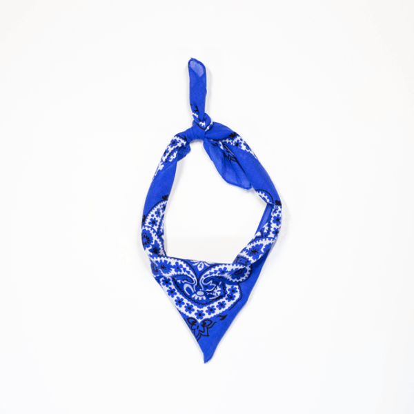 Mexican design bandanna - Blue - Image 2