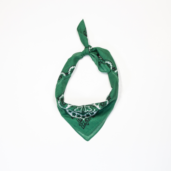 Canteen's green bandana with a Mexican design tied up
