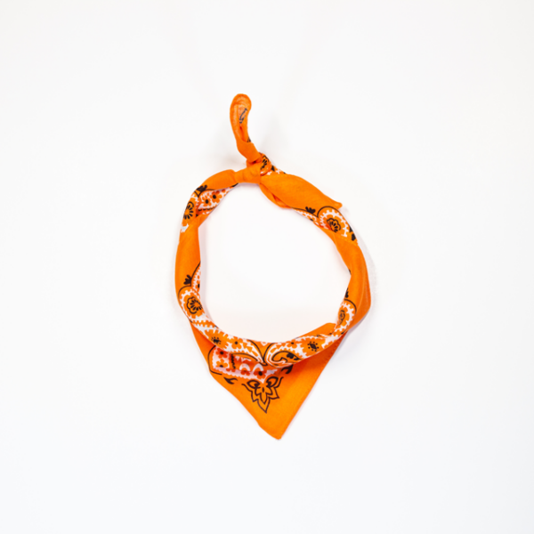 A photo of the Mexican orange bandana tied and styled