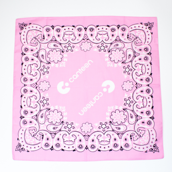 A wide shot photo of the pink bandana with the Mexican design laid flat
