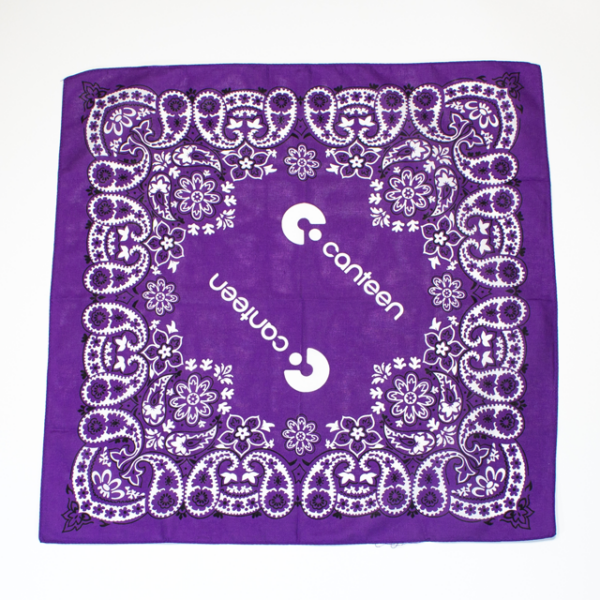A photo of the Mexican purple bandana laid out flat