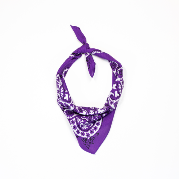 A photo of the Mexican purple bandanna tied and styled