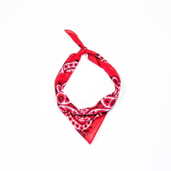 A photo of the Mexican Red bandana tied and styled