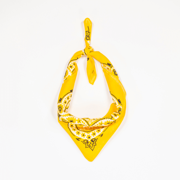 yellow canteen bandanna