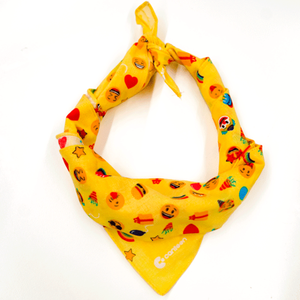 A photo of the colourful party bandanna tied and styled